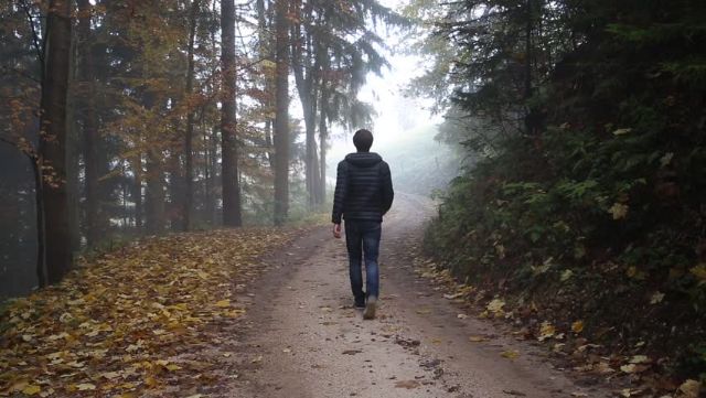 man walking alone down a path in the forest