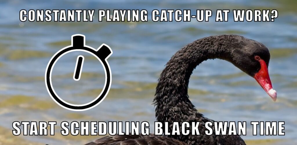 black swan and timer icon. Text saying "Constantly playing catch up at work? Start scheduling black swan time"