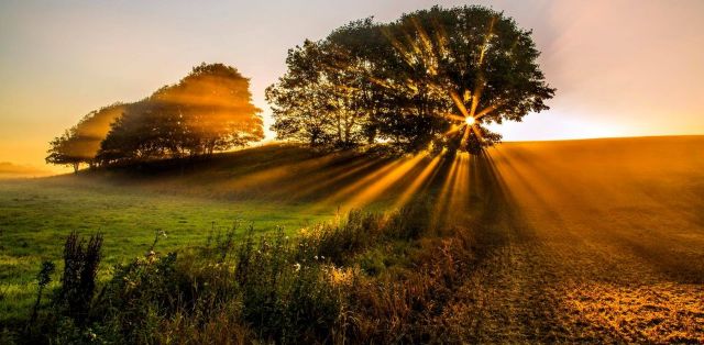 sun raising over a green field