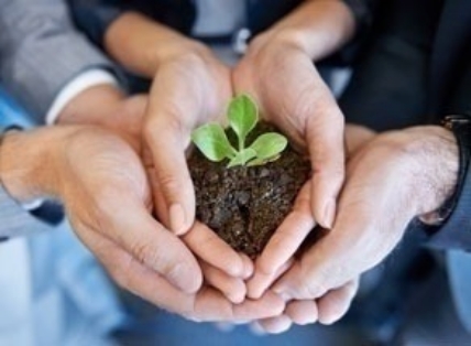 6 hands holding a plant together