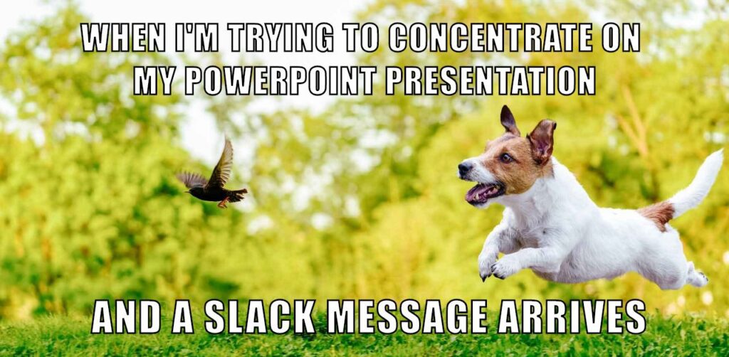 puppy in a park chasing a bird with the meme text "when i try to concentrate on my my powerpoint presentation and a slack message arrives"