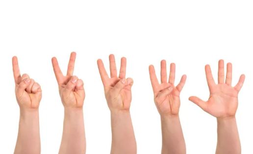 five hands showing 1 to 5 fingers each