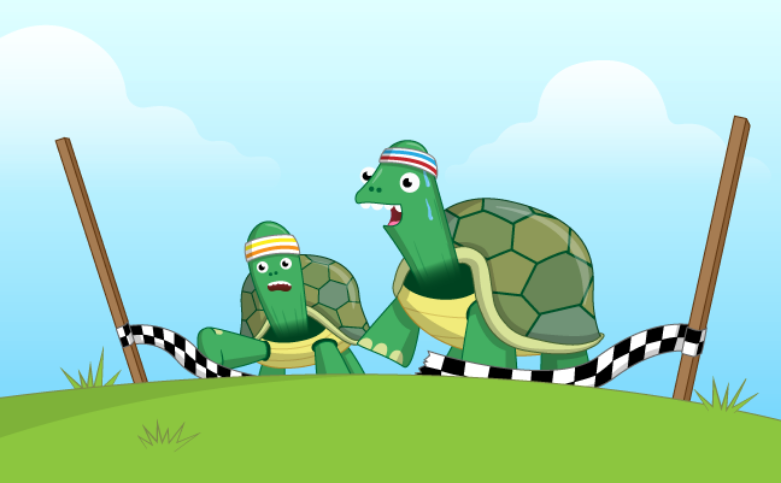 two turtles in a race